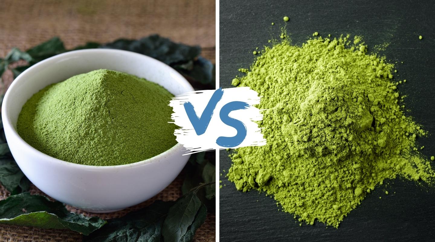 Green Tea Powder vs. Matcha: What’s the Difference?