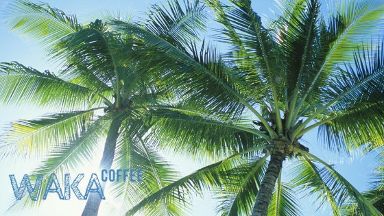 Tropical vegan ice coffee shake using instant coffee