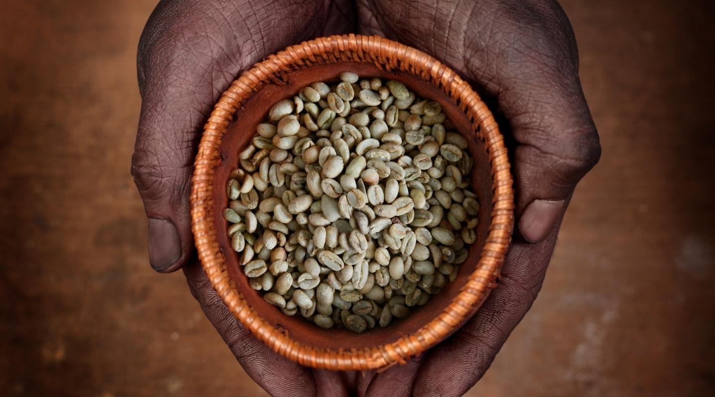 Ethiopian Coffee: Everything you need to know
