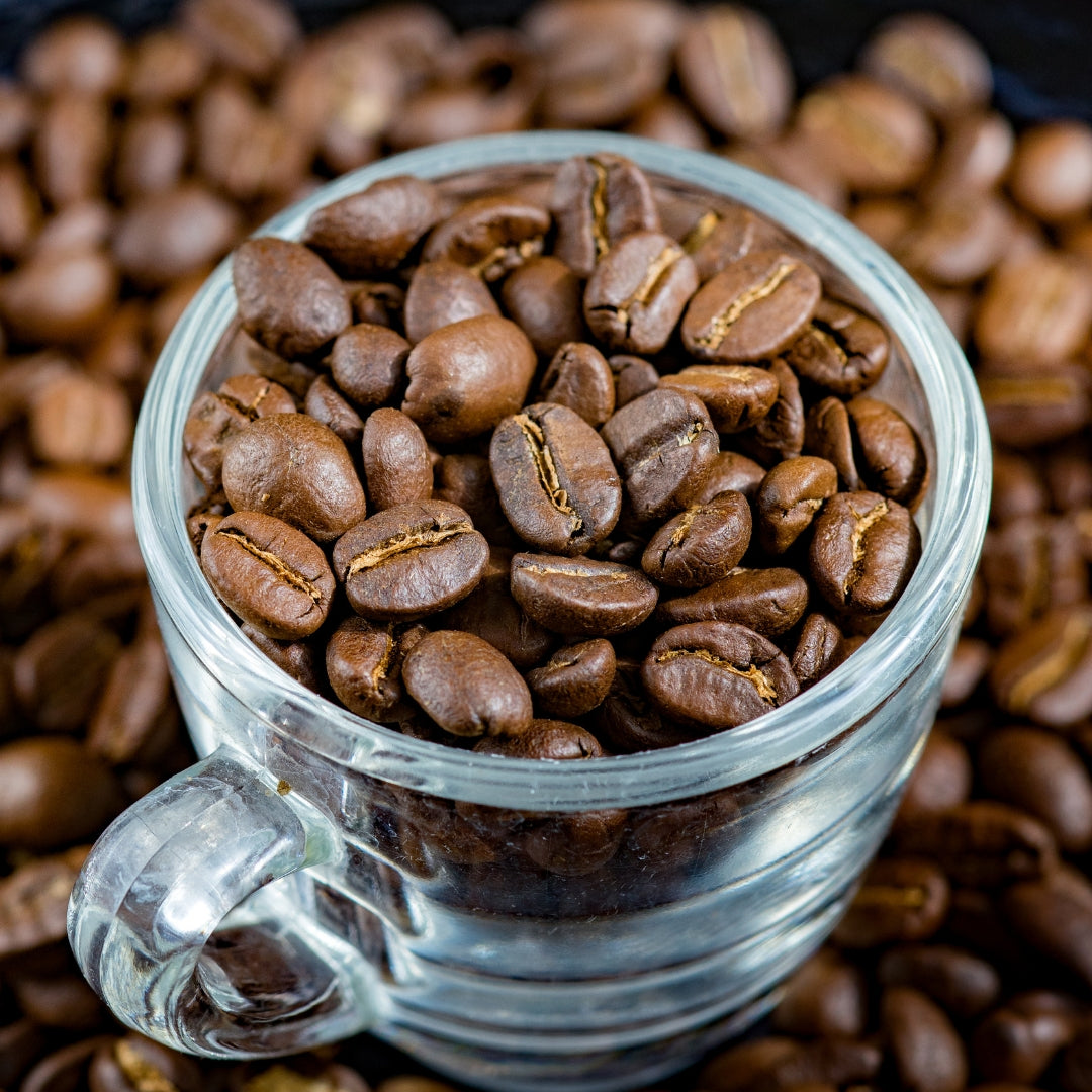 arabica vs robusta coffee