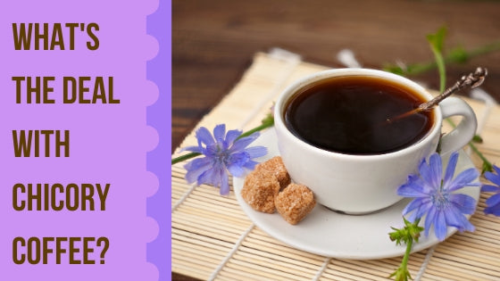how to make chicory coffee